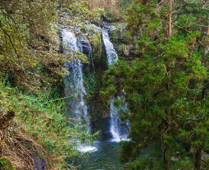 Beautiful double waterfall at Salto da Farinha falling from rocks in lush green rainforest vegetation, Sao Miguel, Azores, Portugal