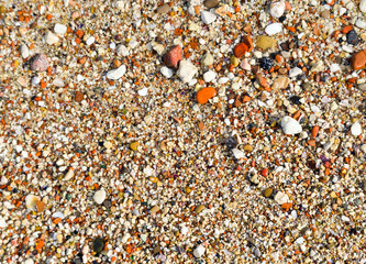 Small rocky cover the sea coast