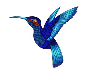 Small hummingbird. Exotic tropical colibri animal icon. Sapphire blue feathers
