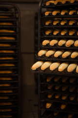 Freshly bread on a baking tray