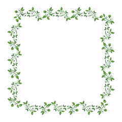 Vector illustration green leafy flower frame decor hand drawn
