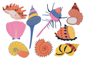 Collection of Seashells, Colorful Tropical Underwater Shells and Creatures Vector Illustration