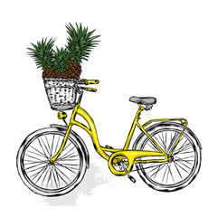 Fototapeta na wymiar Vintage bicycle with basket with pineapples. Exotic fruits. Vector illustration for greeting card or poster. Print Vintage and retro, hand drawing. 