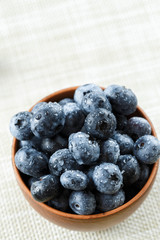 blueberries in a plate on the table