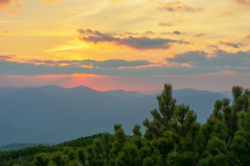 Naklejka premium Dramatic sunset in the spring Ukrainian carpathians with red skies, rays and dark clouds, against the background of mountain ridges covered with alpine pine.