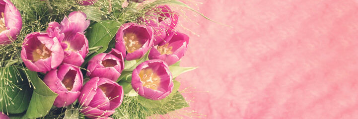 Bunch of pink tulips, soft and pastel colors, vintage style, panoramic background