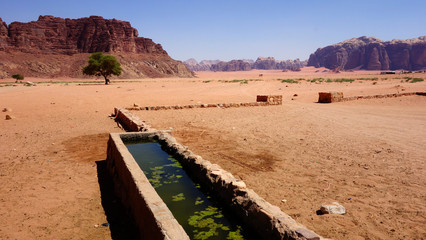 Wadi Rum Wüste in Jordanien