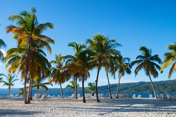 Fototapeta na wymiar Ocean and tropical coastline in Dominican Republic