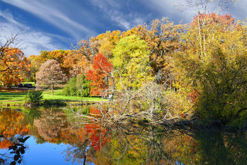 Fall color reflections