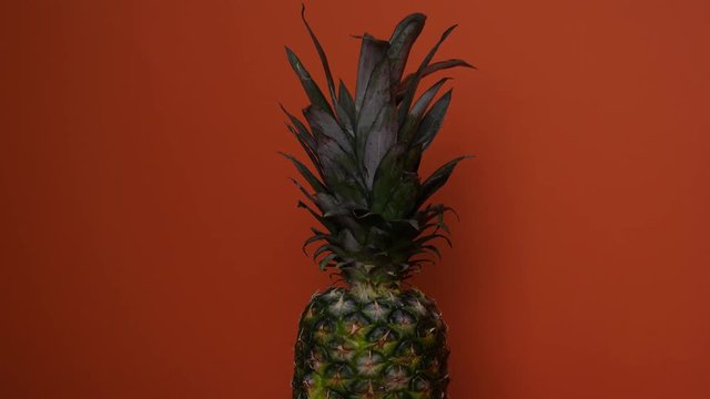 Pineapple fruit on orange background. Ripe pineapple, isolate.