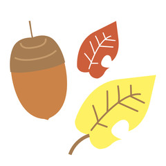 落ち葉と木の実のイラスト