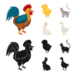 Vector design of breeding and kitchen  symbol. Collection of breeding and organic  stock symbol for web.
