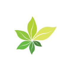 fresh bio green leaves organic herb symbol vector