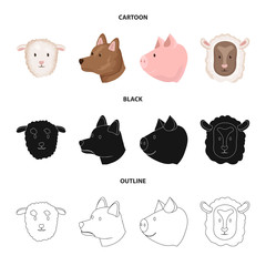 Vector illustration of agriculture and breeding logo. Collection of agriculture and organic  vector icon for stock.