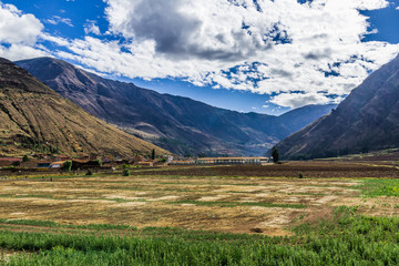 Harvesting in the Peruvian Andes