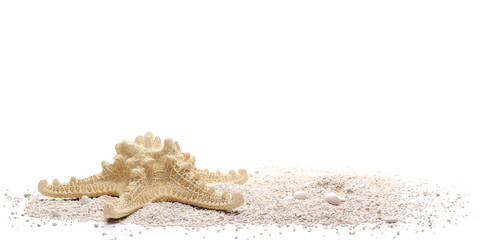 Starfish in sand pile isolated on white background