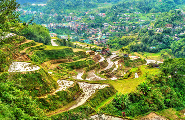 Obraz premium Banaue Rice Terraces - northern Luzon, UNESCO world heritage in Philippines.