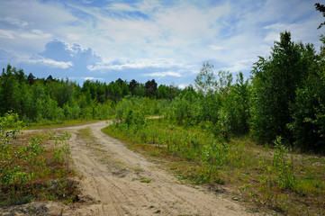 Fototapeta na wymiar An unpaved forest road
