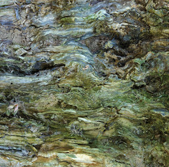 Impressionism as a result of nature activity