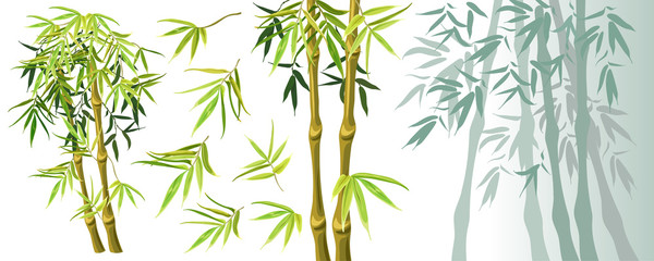 Set green bamboo stems and leaves isolated on white background. Vector illustration. Elements for computer games.
