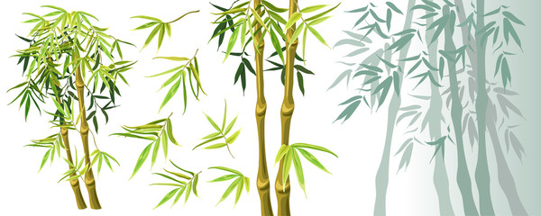 Fototapeta premium Set green bamboo stems and leaves isolated on white background. Vector illustration. Elements for computer games.