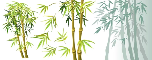 Stellen Sie grüne Bambusstämme und -blätter ein, die auf weißem Hintergrund lokalisiert werden. Vektor-Illustration. Elemente für Computerspiele. © valadzionakvolha