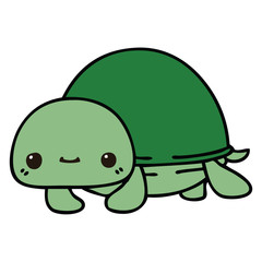 quirky hand drawn cartoon turtle