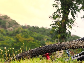 View of the mountain bike wheel lying on the green grass. outdoors. background of flowers and hills.