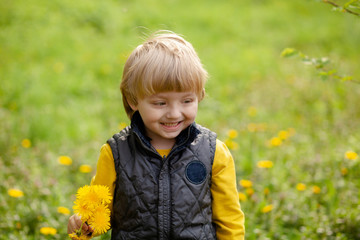 Cute happy blond boy of 3-4 years holds yellow dandelions in his hands, early spring, a child in the park