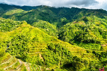 Banaue Rice Terraces - northern Luzon, UNESCO world heritage in Philippines.