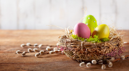 Easter composition with Easter eggs in nest and branches of pussy willows.