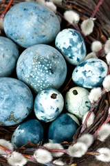 Easter composition with colored eggs 