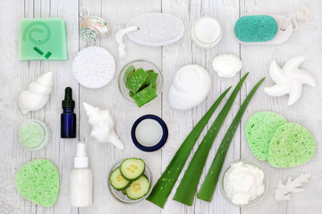 Aloe vera skincare including plant stems,  moisturiser, facial cream, body lotion, natural seashell...