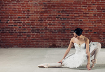 Fototapeta premium fashion ballerina strethcing her toes during workout. lifestyle concept. copy space, full length photo. pretty dancer concentrated on training