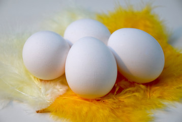 Four white eggs on yellow feathers