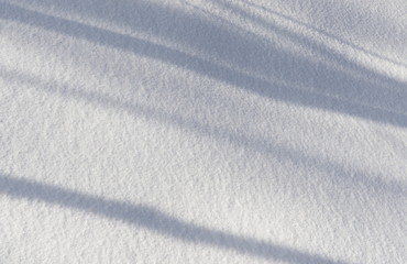 Fototapeta na wymiar Shadows on Snow