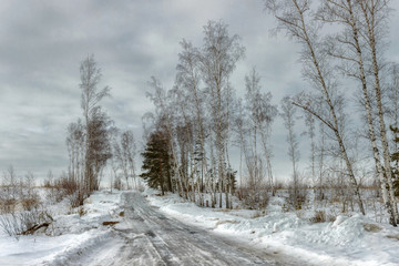 Winter in the woods.