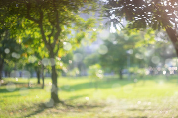 Blur park with sun light abstract background