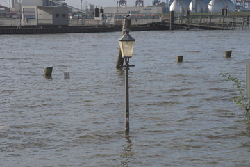 flut