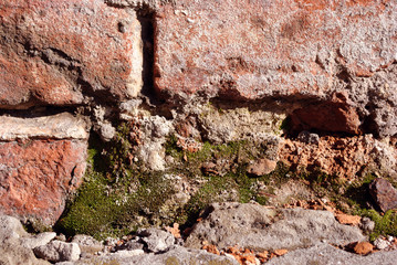 Red brick wall surface close up detail with green moss, grunge horizontal shabby background