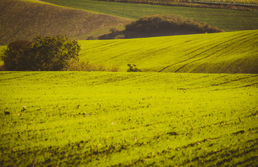 On green waves