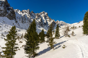 Mala Studena dolina in the winter. Tatra Mountains. Slovakia. © Jacek Jacobi