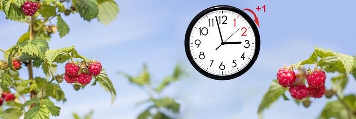 Daylight Saving Time. DST. Wall Clock going to winter time. Turn time forward.