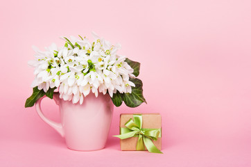 Galanthus on pink background. Bouquet Galanthus. White flowers and gift box.