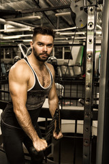 Handsome young muscular sportsman doing triceps exercise at the gym