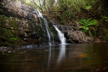 Fototapeta na wymiar Lilydale Falls