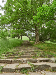 Old steps in the green park.