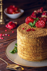 Homemade honey cake decorated with pomegranate berries and mint leaves. Dark and Moody