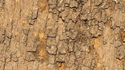 macro texture from nature brown stone with disseminations