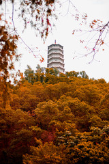 temple in China on the mountain. with beautiful scenery